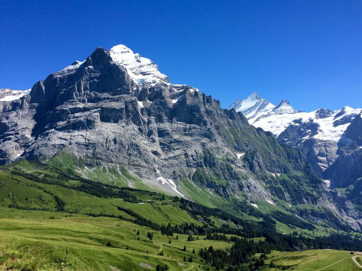 Wetterhorn, Eiger, Jungfrau, Amazing! Appartement Grindelwald Buitenkant foto