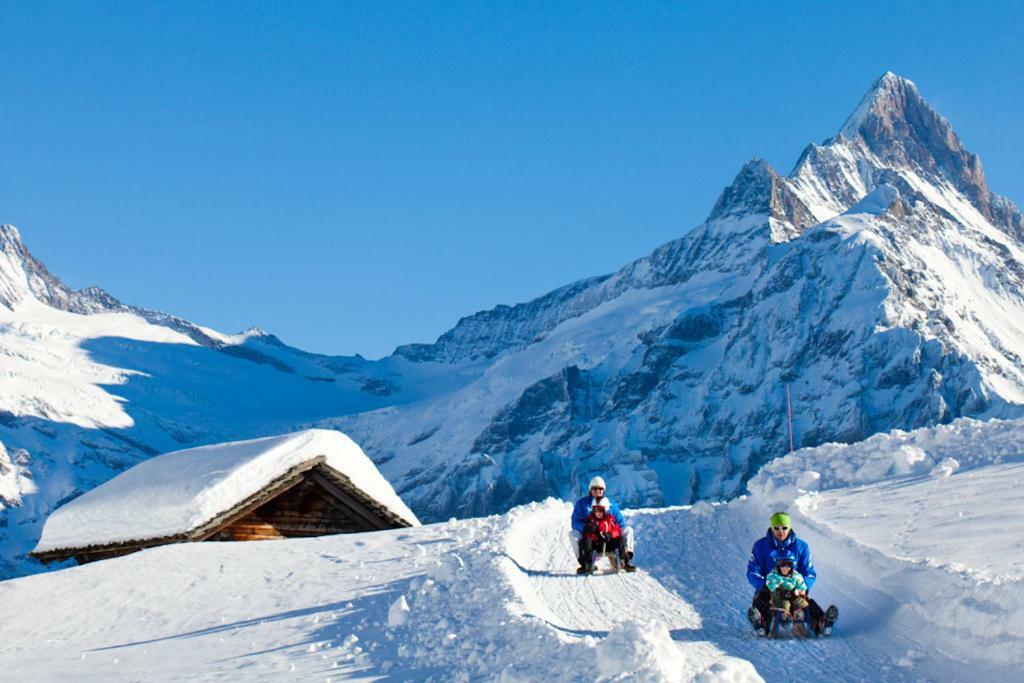 Wetterhorn, Eiger, Jungfrau, Amazing! Appartement Grindelwald Buitenkant foto